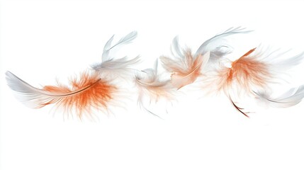 Obraz premium Delicate, light feathers in soft shades of white and peach, seemingly floating against a pure white background