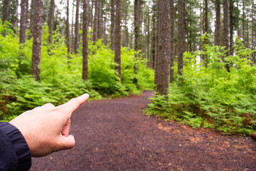 hiking in the forest