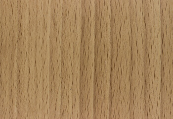 natural wood, with a beautiful pattern. natural wood background. wooden board with natural seamless texture. Beech, Fagus, view from above, horizontal, close-up..