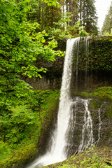 waterfall in the forest