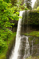 waterfall in the forest