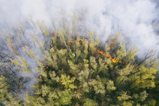 concept of forest fires. Burning forest top view aerial view. White smoke is coming from the forest. natural disaster