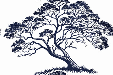 tree with roots