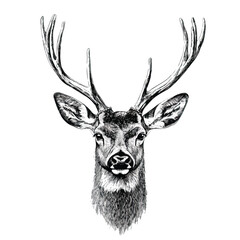 deer clip art