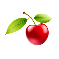 Realistic Cherry with Leaves on Transparent Background