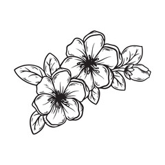 illustration art flower hand drawn back and white design