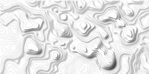 Abstract curve grid map and topo contour map white background. Topographic contour lines. Seamless pattern with lines Topographic map.	