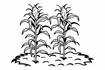 vector illustration of a plant