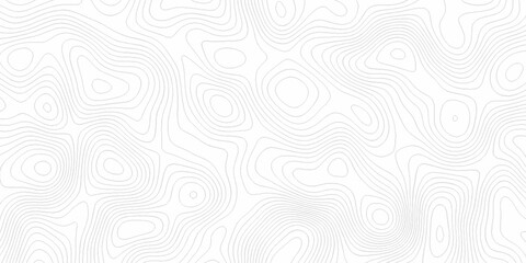 Abstract curve grid map and topo contour map white background. Topographic contour lines. Seamless pattern with lines Topographic map.	