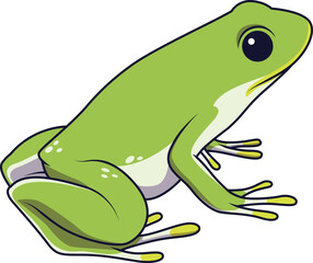 Frog Vector Illustration