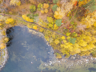 Colorful autumn forest with trees on the shore of a blue lake - top aerial view.