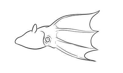 vampire squid digital drawing illustration isolated