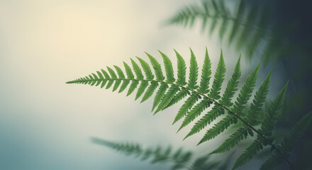 Naklejka premium Delicate fern fronds close up