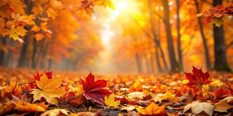 Vibrant autumn foliage on the forest floor with leaves scattered in shades of orange, yellow, and red, leafy, earthy