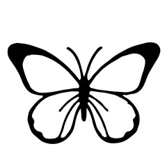 A simple black illustration of a butterfly, showing elegant lines and a minimalist design.