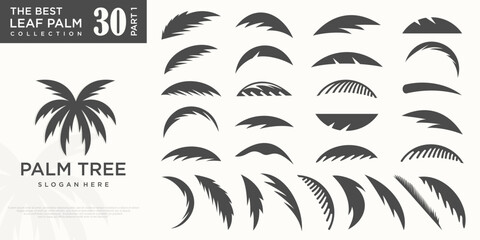 Tropical Palm leaf icon set logo design template . vector illustration
