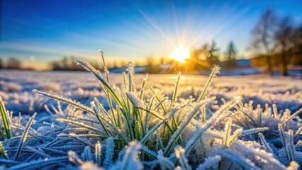 Softly falling snowflakes settle on frost-covered grass, revealing a subtle sheen as it catches the warm light of winter sunshine, with a bright blue sky above , nature scene, frozen grass