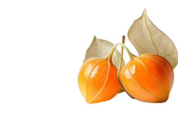 two orange fruits with leaves on a white background