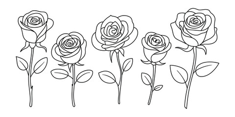 Elegant black and white line art illustration of five beautiful rose flowers
