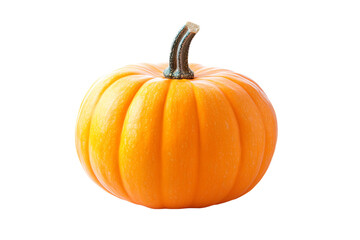 Obraz premium a small orange pumpkin sitting on top of a white surface