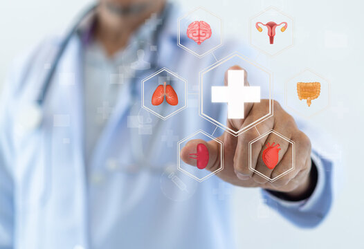 Health system for internal organ care, medical services for disease detection and treatment, checkup for heart, kidney, lung, brain and cancer, hospital and health insurance, doctor consultation