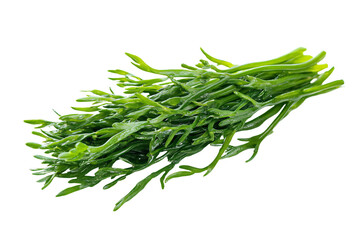 a bunch of green beans on a white background