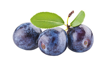 Obraz premium three plums with a leaf on a white background
