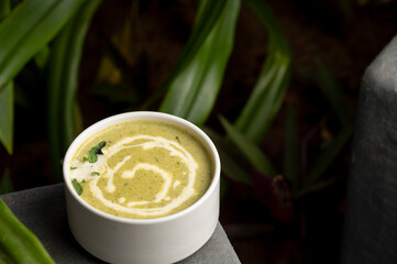 Creamy Thai coconut curry served in a white bowl, styled with rich texture and color, placed on a table with soft natural light and green indoor plants in the background.