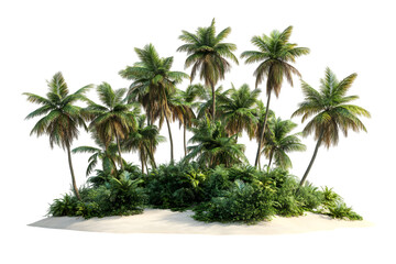 Tropical island with palm trees and vegetation
