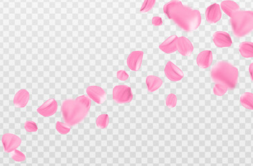 3d realistic vector illustration. Pink sakura petals falling isolated on transparent background.Beauty and cosmetic background presentation.