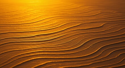 Fototapeta premium Golden Waves of Sand Dune Surface Texture