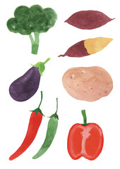 채소 일러스트1