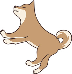 Sleeping Shiba Inu dog