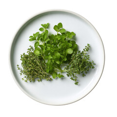 Fresh oregano, thyme and marjoram herbs arranged beautifully on a round plate create a healthy aromatic cooking ingredient presentation on a white background.