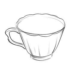 Elegant teacup with scalloped edge sketch vector