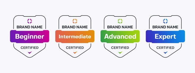 Professional Skill Level Shield Badges. Certified Level Badge Set Vector.