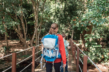 Hikers or explorers family on journey carrying backpack, trekking poles  looks into the distance observing guide trekking and trail exploration holiday ecotourism concept