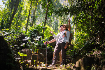 Older trekking adventure carries backpacks poles enjoying nature expression looks into the distance observing and possibly guide trekking and trail ecotourism adventure concept.