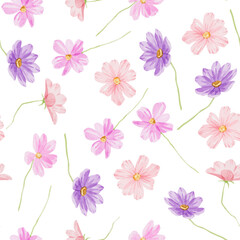 Seamless pattern of cosmea flowers. Hand-drawn watercolor illustration of purple-pink plants on white background. Abstract pattern for printing on fabric, clothes, wallpapers, wrap paper package, etc.