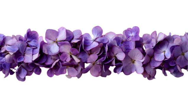 Purple hydrangea flower border floral arrangement