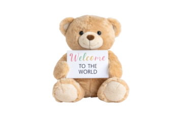 PNG Cute teddy bear holding welcome to the world sign
