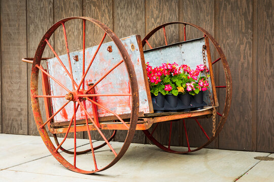 USA, Washington State, Eastern Washington,  Palouse Region. Uniontown. display of old, rusty wheel rims.