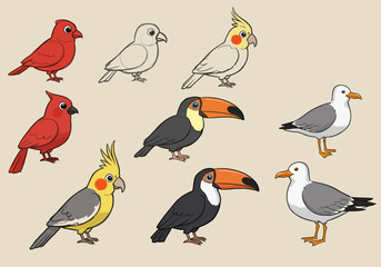 Colorful Bird Illustrations Cardinals Cockatiels Toucans and Seagulls