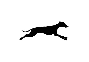 Silhouette of a sleek running greyhound with powerful strides and a curved tail