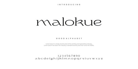 MALOKUE Elegant Font Uppercase Lowercase And Number. Classic Lettering Minimal Fashion Designs. Typography modern serif fonts regular decorative vintage concept. vector illustration