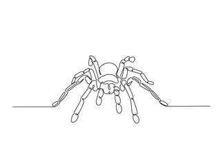 Tarantula spider single outline illustration. Continuous line art drawing of wild spider. Editable stroke.
