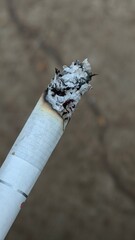 Smoking Cigarette with Ash Burning Away
