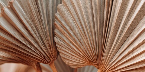 Dried Palm Leaf Texture