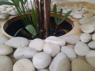 zen stones and green leaves