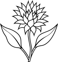 Cornflower flower plant outline line art illustration, coloring book page